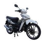 Lucky Plus gasoline Delivery 50cc/110cc/125cc mini EEC Super Lady/Ladies Cub