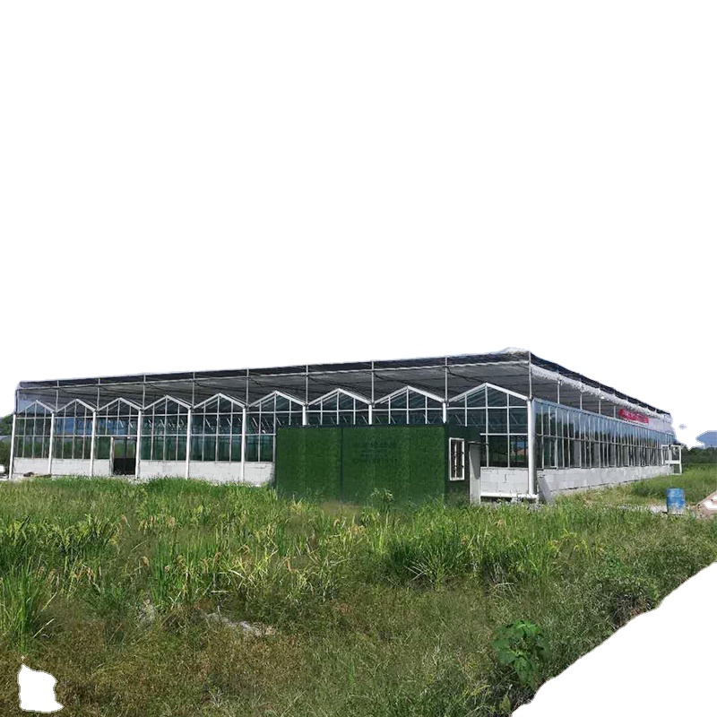 Large Glass Greenhouse Mushroom Aeroponic Tower Garden for Eco Restaurant Instruction