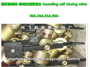 Quality Dg 50 self closing measuring tube head CBM1128-82 wholesale