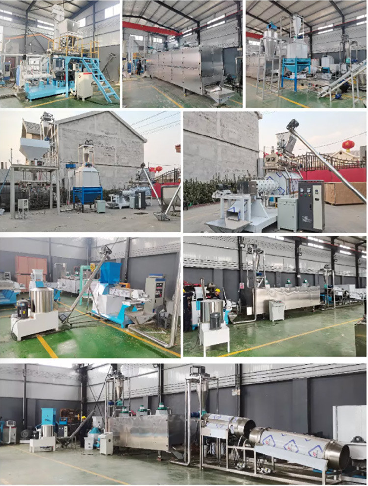 200-300kg/h dog food making machine catfish Tilapia floating fish feed pellet extruder with 1 year of warranty