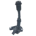 Hot Sale Low MOQ Car Ignition Coil DS7G-12A366-BB For Ford
