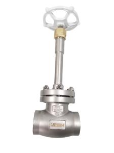 Quality Gas Stainless Cryogenic -196C Socket Weld Globe Valve PN40 SS304 SS316 wholesale