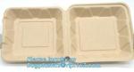 biodegradable disposable corn starch tray compartment catering tray fruit