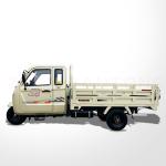 800cc Popular Model Three Wheel Cargo Tricycle Max Champagne Body for Well Sell