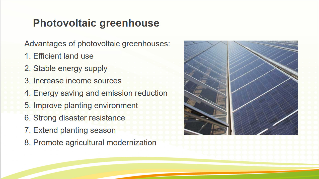 Double Layers Glass Cover Photovoltaic Greenhouse Solar Panel Greenhouse