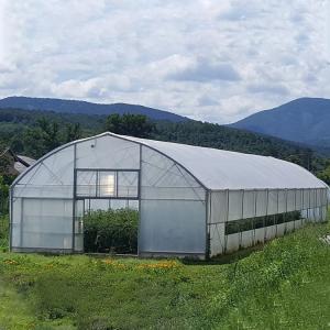 Quality Agriculture High Tunnel Film Roller Clear Greenhouse Cover Plastic Film Single Tunnel Greenhouse wholesale
