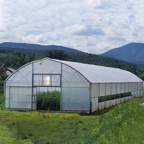Agriculture High Tunnel Film Roller Clear Greenhouse Cover Plastic Film Single
