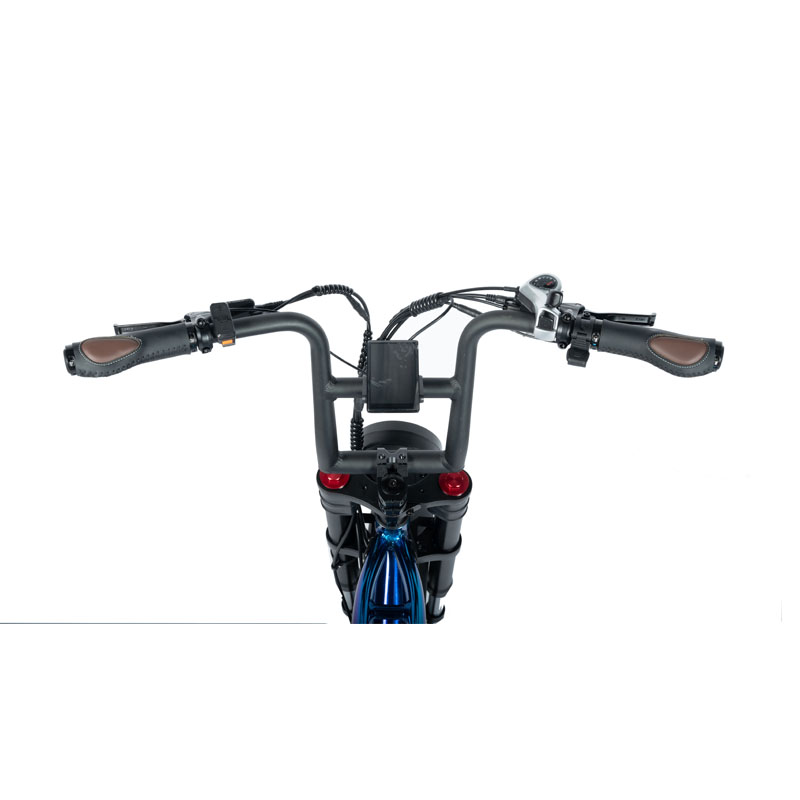 Customized Mountain Electric Bike with Torque 30-50 Nm and 48V Voltage Beach Bikes Cruisers