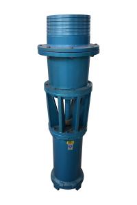 Quality 10kw High Flow Submersible Water Pump Axial Flow Water Pump Vertical / Horizontal Installation wholesale