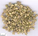 Pure Natural tribulus terrestris powder with 90% Saponins -- Tribulus terrestris