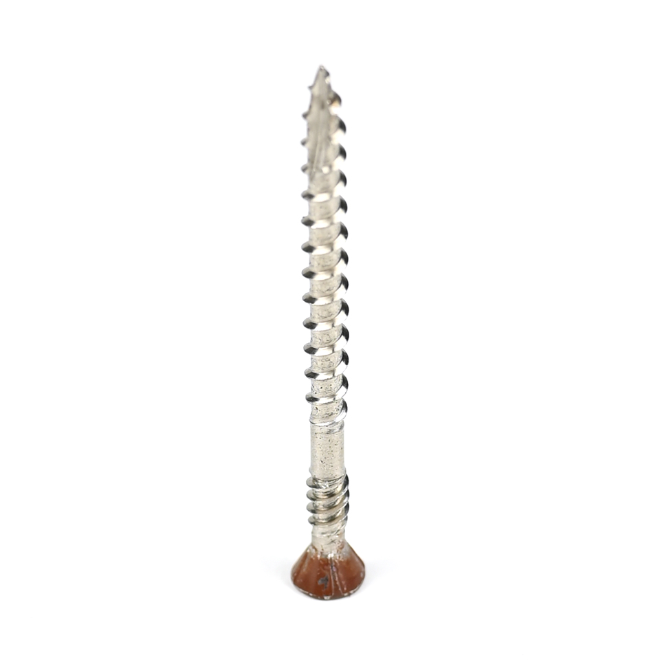 Plain Finish Stainless Steel Countersunk Torx Head Double Thread Drywall Screw for Fixing