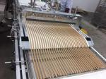 Siemens Motor 300KG/H Dog Pet Food Machine Automatically