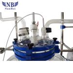 Pharmaceutical 200L Chemical Glass Reactor