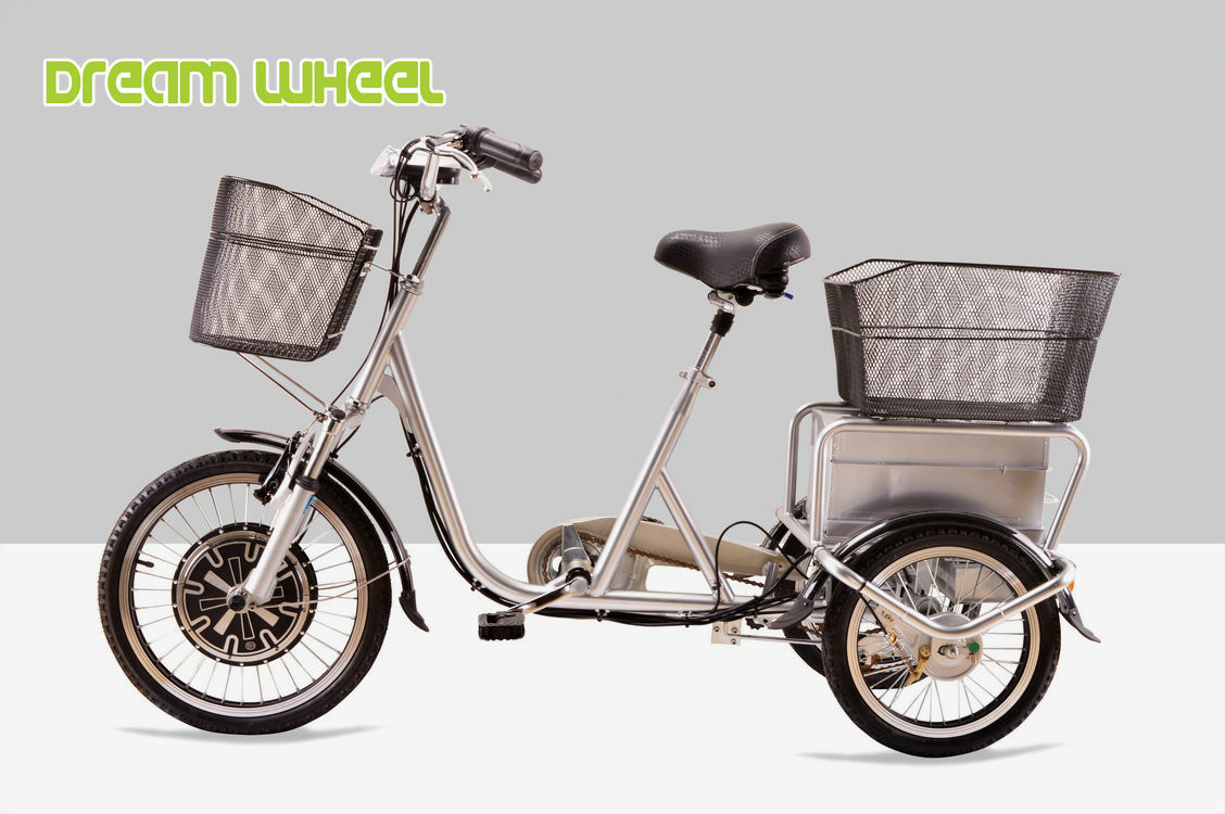 25km/H Pedal Assist Electric Trike 48V 350W Brushless Motor