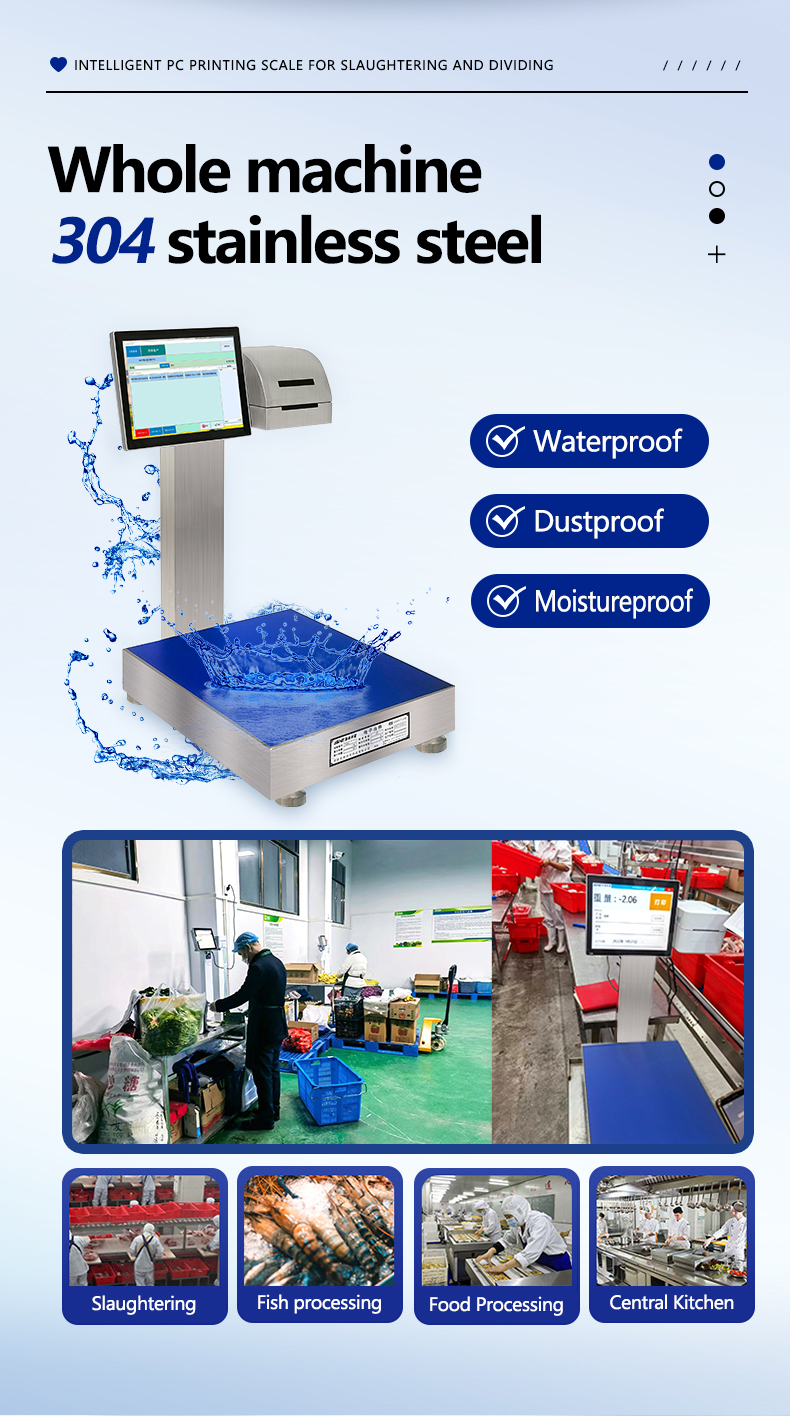 304 Stainless Steel Fully Waterproof Smart Scale with LCD Display 30KG Battery Model