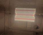 High Efficiency LED Grow Light 200W Quantum Board 480*300*75mm