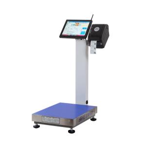 Quality 17 Inch Touchscreen Display 500kg Electronic Weighing Scale for Industrial Weighing wholesale