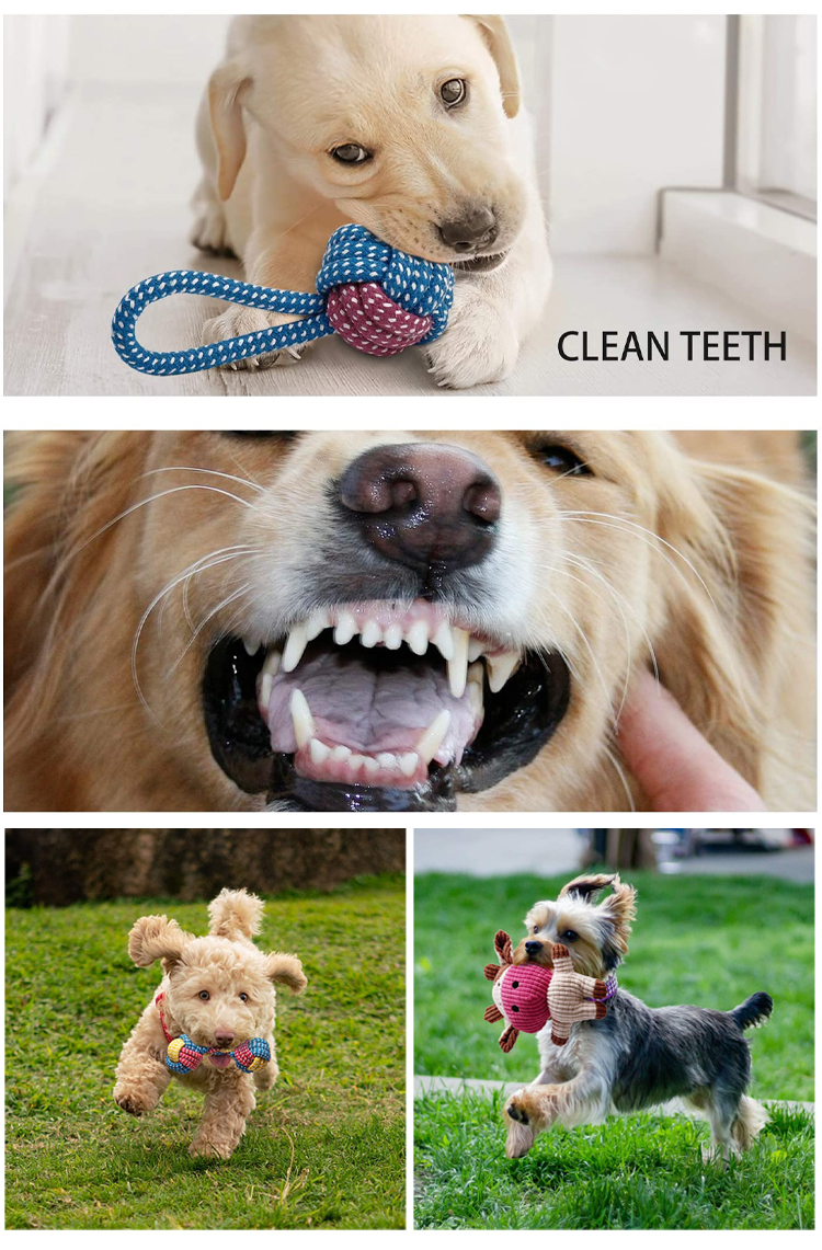 Cat Sound Plush Toy Set Silicone Rope Interactive Plush Dog Toys