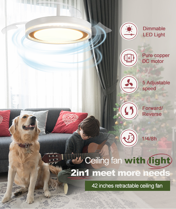 Standard Wind Mordern Style LED Ceiling Fan with Hidden Blades and PC Blades in White