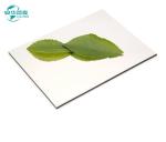 Sophisticated Alucobond Sandwich Panels Exterior And Interior Decoration 2440mm
