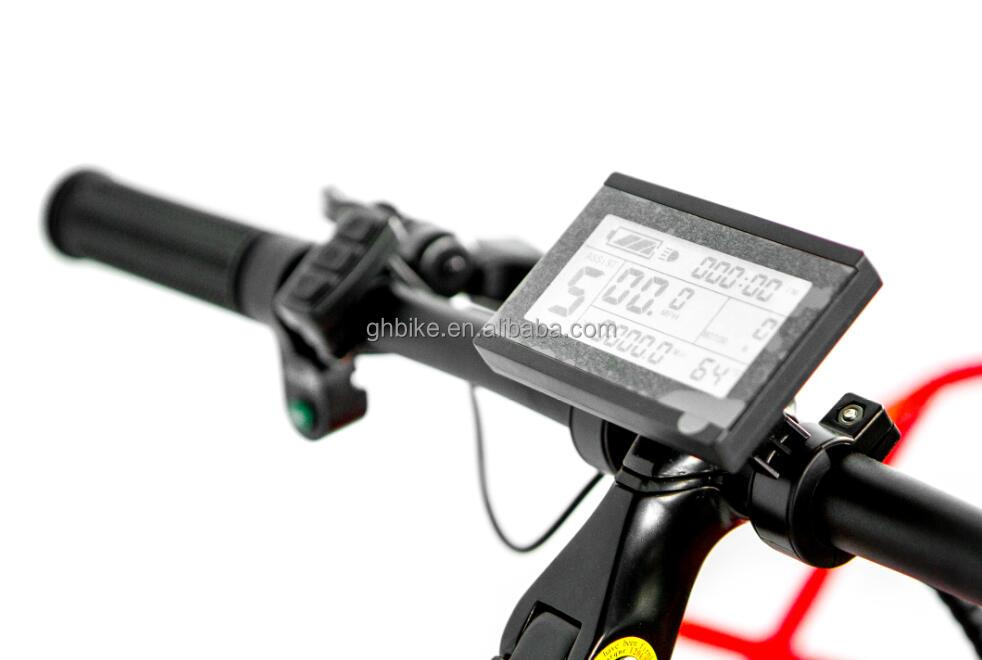 48V 750W Front Motor 24" Adult Electric Tricycle with 17AH Lithium Battery and Fat Snow Tires