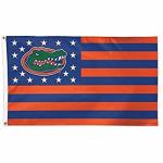 Wholesale Promotional flag 100% Polyester Custom Size Flag