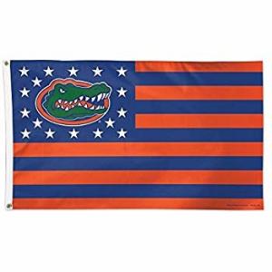 Quality Wholesale Promotional flag 100% Polyester Custom Size Flag wholesale