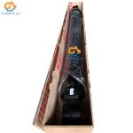 14790313 14763611 14587748 14564682 VOE14790313 Arm Hydraulic Cylinder for