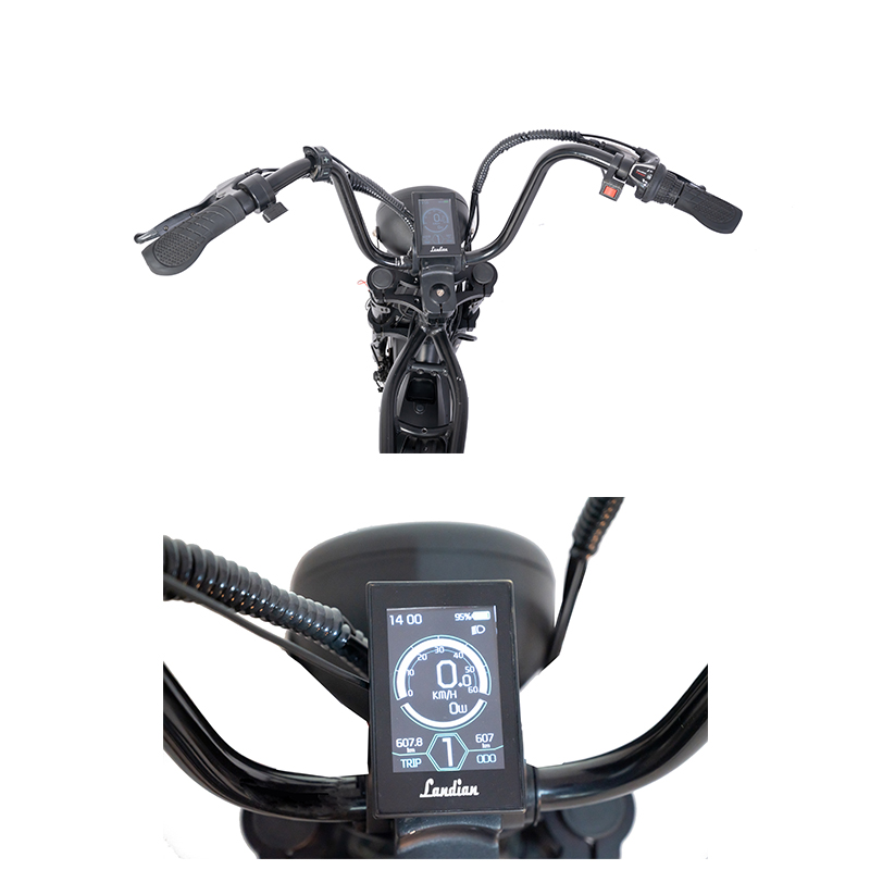 Retro Ebike Cruiser Dual Battery Enduro 7 Speed 48V 1000W Electric Fat Tire Bike