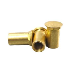 Quality Grade 6.8 Brass M8 Blind Rivet Nut Automotive Industry Lathe Parts wholesale