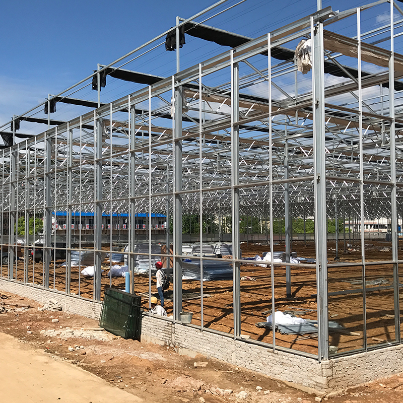 Large Size Transparent Glass Greenhouse Super Strong Resistance and Hydroponics System