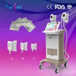 Quality 2016 new beauty equipment body slimming machine cryo weight loss freeze fat system wholesale
