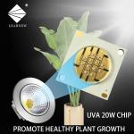 2828 385nm 12000-14000mW UV Chip LED With Low Thermal Resistance