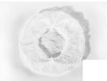 Reliable Disposable Surgical Caps Strip Hat Round Mob Non Woven Bouffant Cap