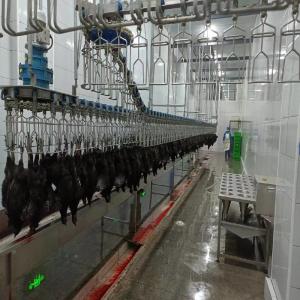 Quality High Productivity Poultry Slaughtering Machine Automatic Chicken Abattoir Equipment wholesale
