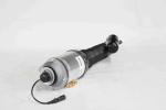 OEM Spring Volkswagen Struts Bentley Shock Absorbers 3W0616039D