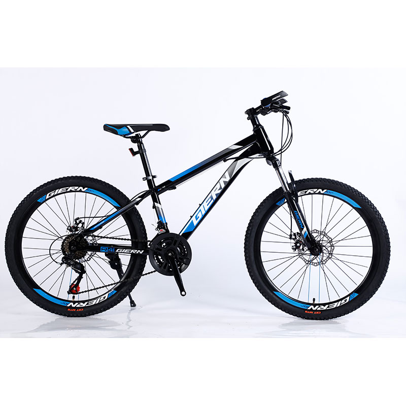 Performance TONGLI MICHANICAL DISC BRAKE Mountain Bike with Steel Rim