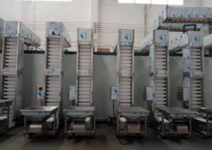 Quality Customed High Efficient Bucket Elevator for Barley/Fruit/Corn grain/Fertilizers wholesale