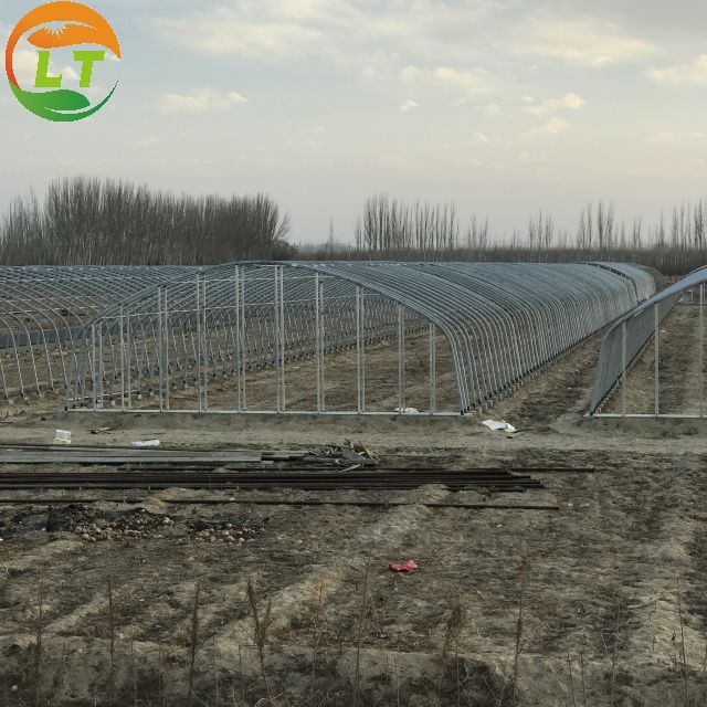 Ventilation Vents for 150/200micro PE Film Covered Greenhouse on Poultry Farm