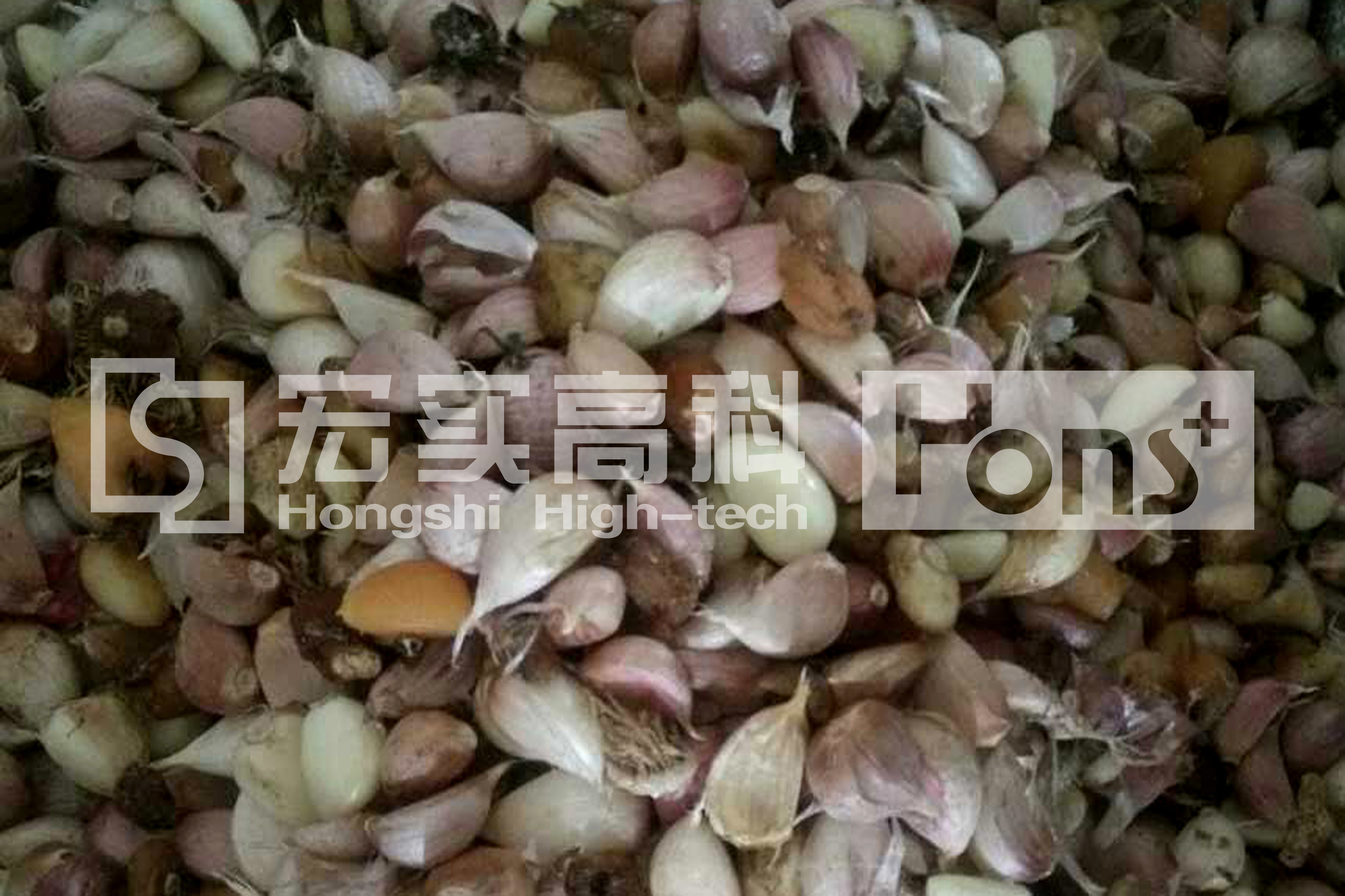 White Color Garlic CCD Color Sorter Grain Color Sorter Quintuple Chutes