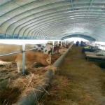 Agriculture Poultry Farming Chicken Heated Greenhouse Automatic