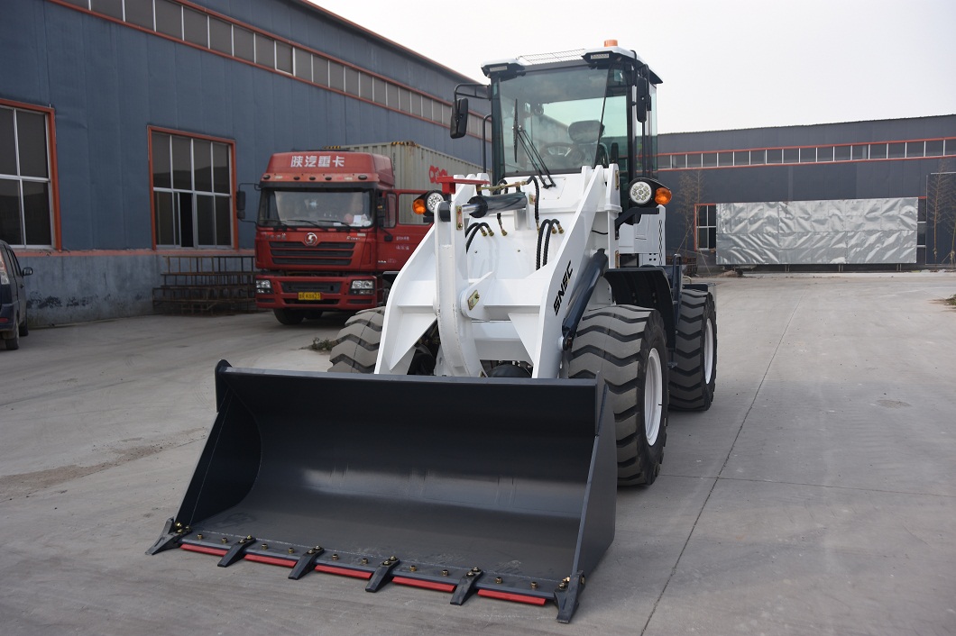 800kg 1600kg 2000kg Mini Front End Loader Machinery with Qingzhou Hydraulic Pump