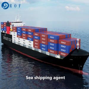 Quality Cargo Duty Included DDP Sea Shipping From China To Canada wholesale