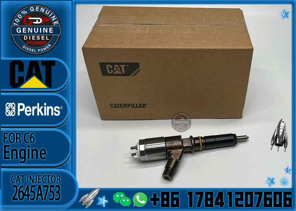 320-0688 Fuel Common Rail Injector 10R-7939 2645A747 2645A749 2645A753 for Perkins diesel engine fuel injector