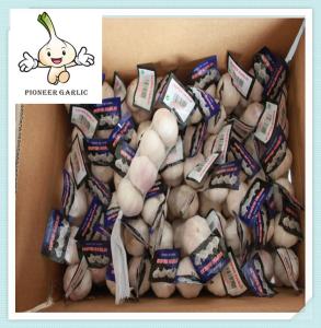 Quality Garlic - Small and Bulk Orders - Contact Us for Free Samples wholesale