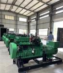 Industrial Backup Emergency 250KW 300KVA Natural Gas Powered Electric Generator