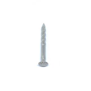 Quality Natrual 3.0 X 65MM Stainless Steel Screw Shank Nails For Decks And Docks wholesale