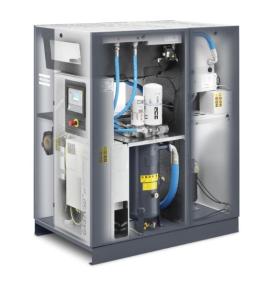 Quality 37kW Atlas GA37+ , GA 37+ Atlas Screw Air Compressor Oil Injected ISO Certificate wholesale