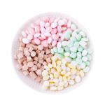 Sugar Free Mints Round Watermelon Healthy Hard Mint Candy with Natural Colors