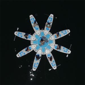 Quality Waterproof 3 Ply PVC 4m Inflatable Paddle Board Dock wholesale